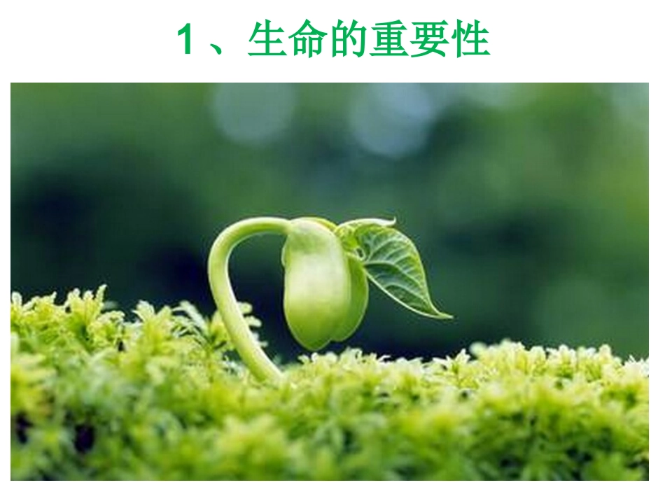 生命教育主题班会——热爱生命 (5)_第2页