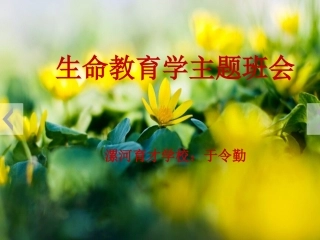 生命教育主题班会——热爱生命 (5)