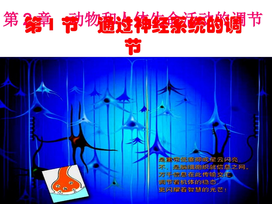 必修三第二章第一节通过神经系统的调节（共61张PPT）_第2页