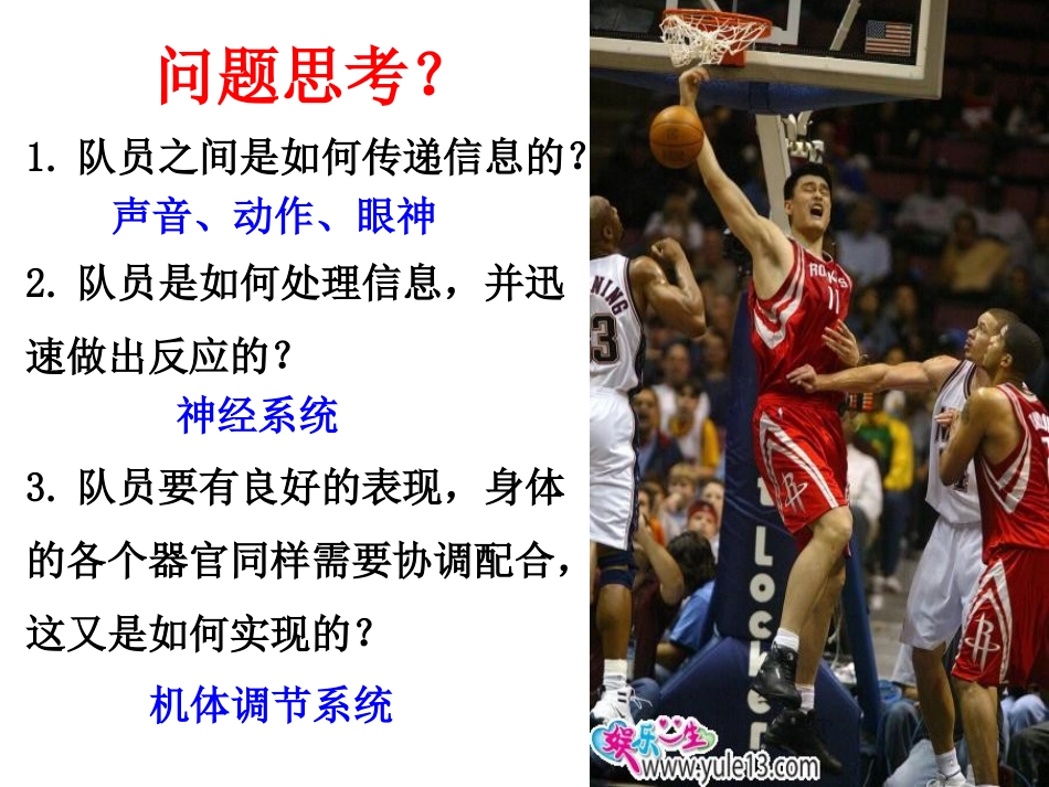 必修三第二章第一节通过神经系统的调节（共61张PPT）_第3页