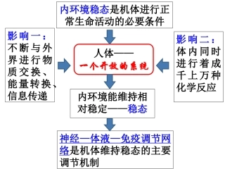 必修三第二章第一节通过神经系统的调节（共61张PPT）