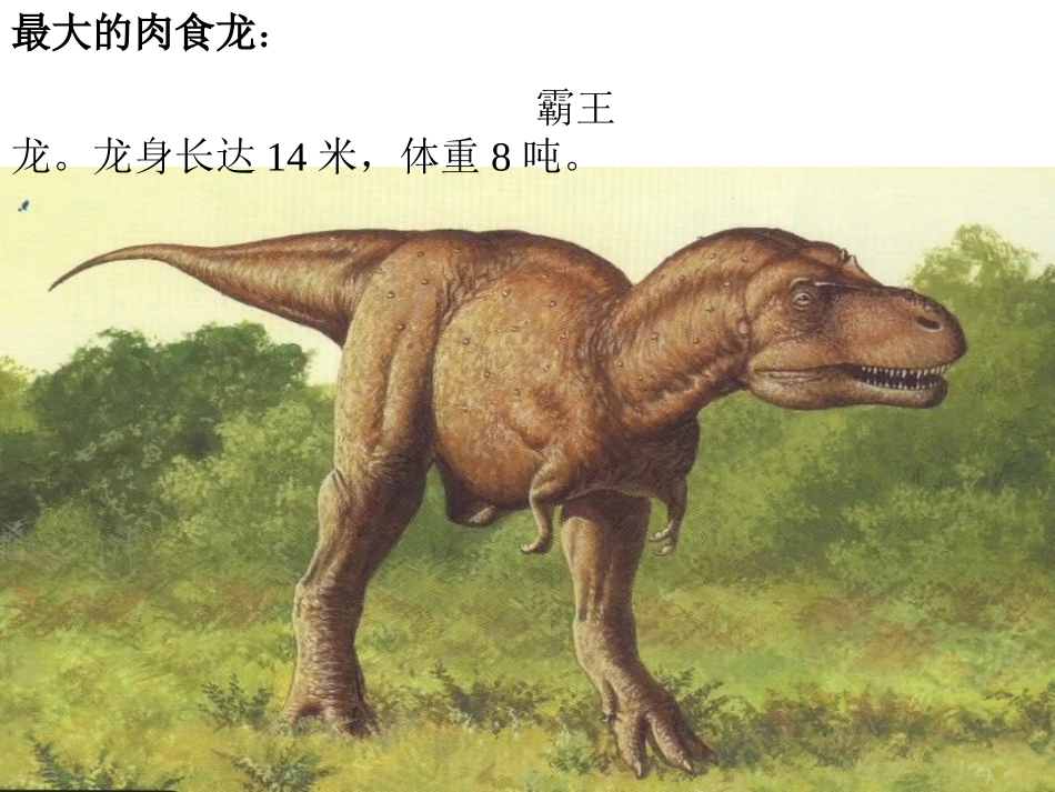 《恐龙的灭绝》PPT课件_第3页