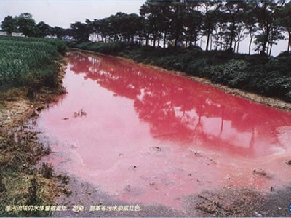 《只有一个地球》课件1_第3页