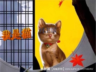 《我是猫》课件 (2)