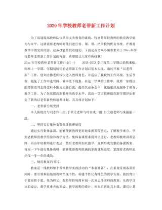 2020年学校教师老带新工作计划