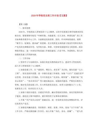 2020年学校党支部工作计划【五篇】