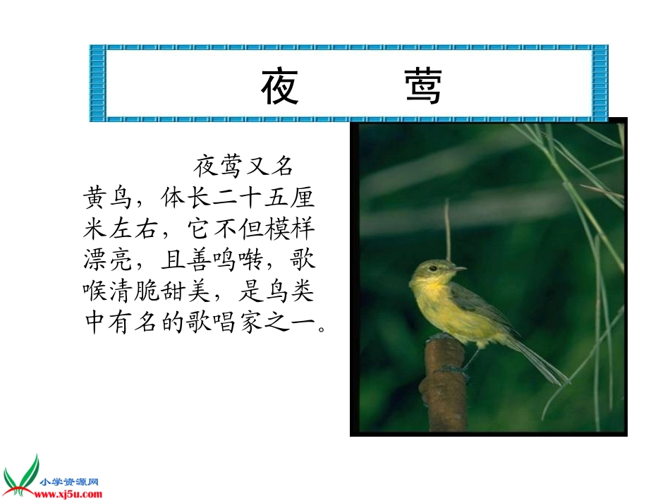 《夜莺之歌》PPT演示课件_第2页