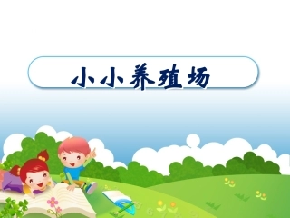 《小小养殖场》课件