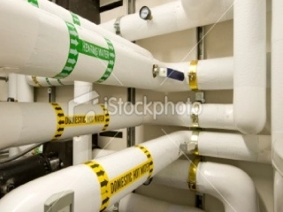 输送血液的泵——心脏汪忠良