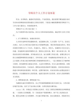 导购员个人工作计划5篇