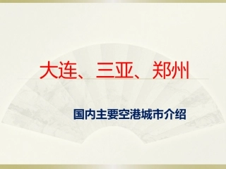 国内空港城市（大连、三亚、郑州） (2)