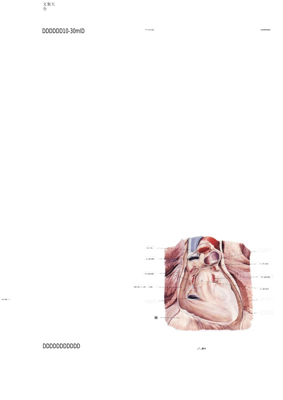 心脏地解剖结构及生理(含彩图)_第3页