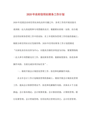 2020年农村信用社财务工作计划