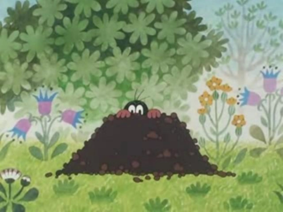 语言《啪啦啪啦碰》_第2页