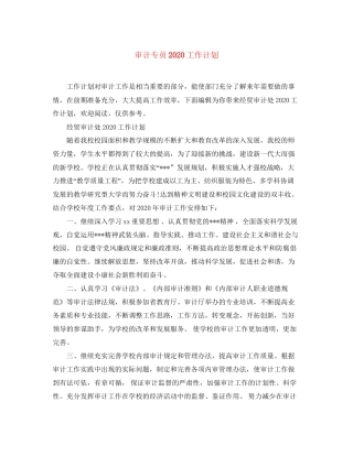 审计专员工作计划