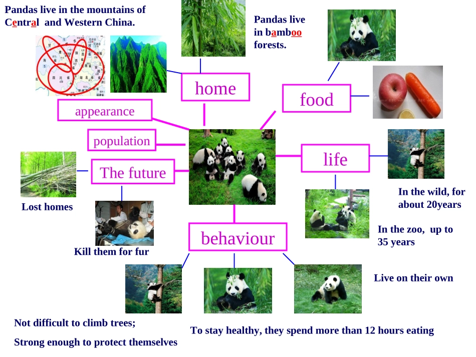 八下U5reading蛛网图_第2页