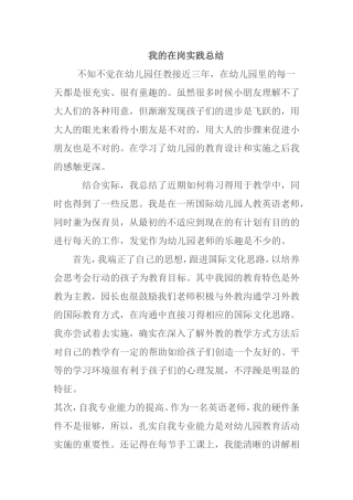 我的在岗实践总结