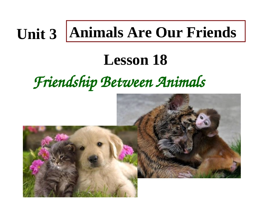 八年级（下）L18friendshipbetweenanimals（共31张PPT）_第1页