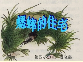 《蟋蟀的住宅》课件0