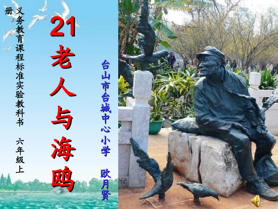 六年级语文老人与海鸥课件_第1页