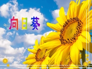 二年级美术向日葵