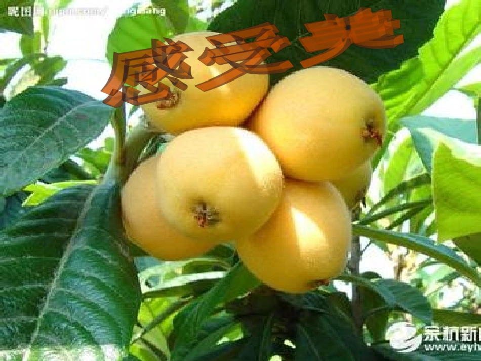 追寻高雅生活情趣 (2)_第2页