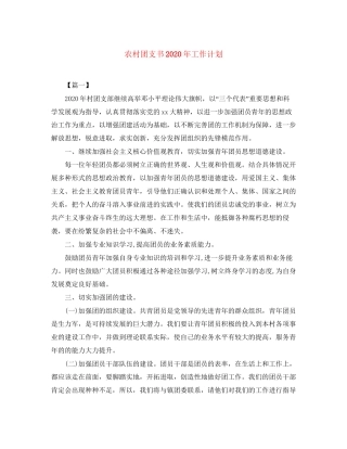 农村团支书年工作计划