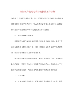 市知识产权局专利行政执法工作计划