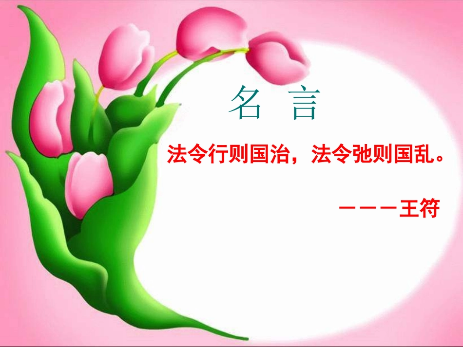《发展社会主义民主2》参考课件_第3页