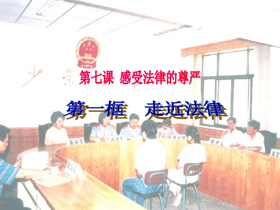 《走近法律》课件3_第1页