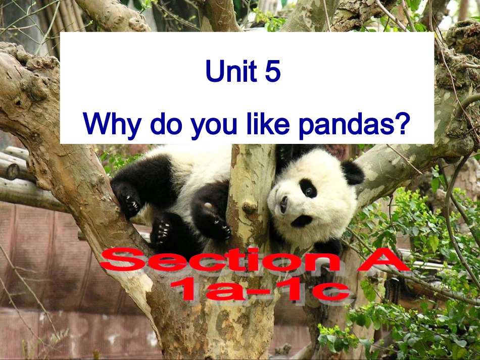 七年级下Unit5SectionA-1_第2页