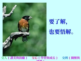 交人交心懂得感恩
