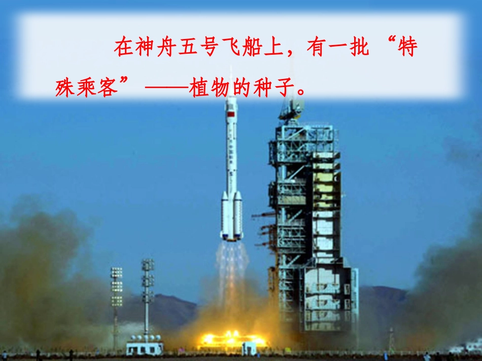 《飞船上的特殊乘客》课件4_第2页
