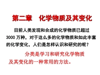 《物质的分类》课件1