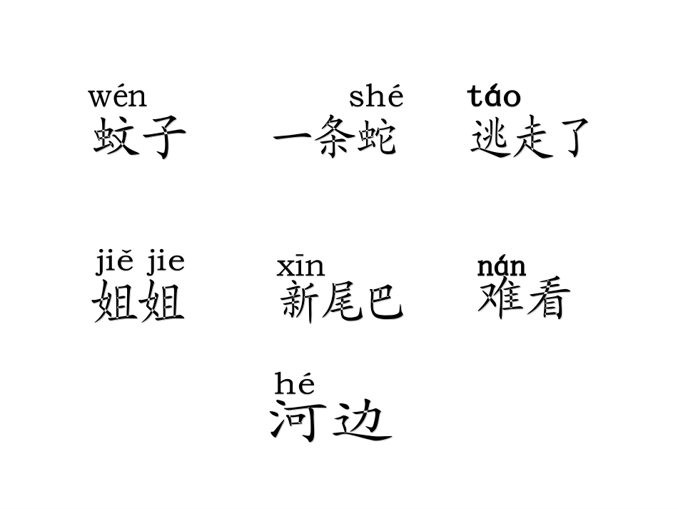 《小壁虎借尾巴》课件演示_第3页