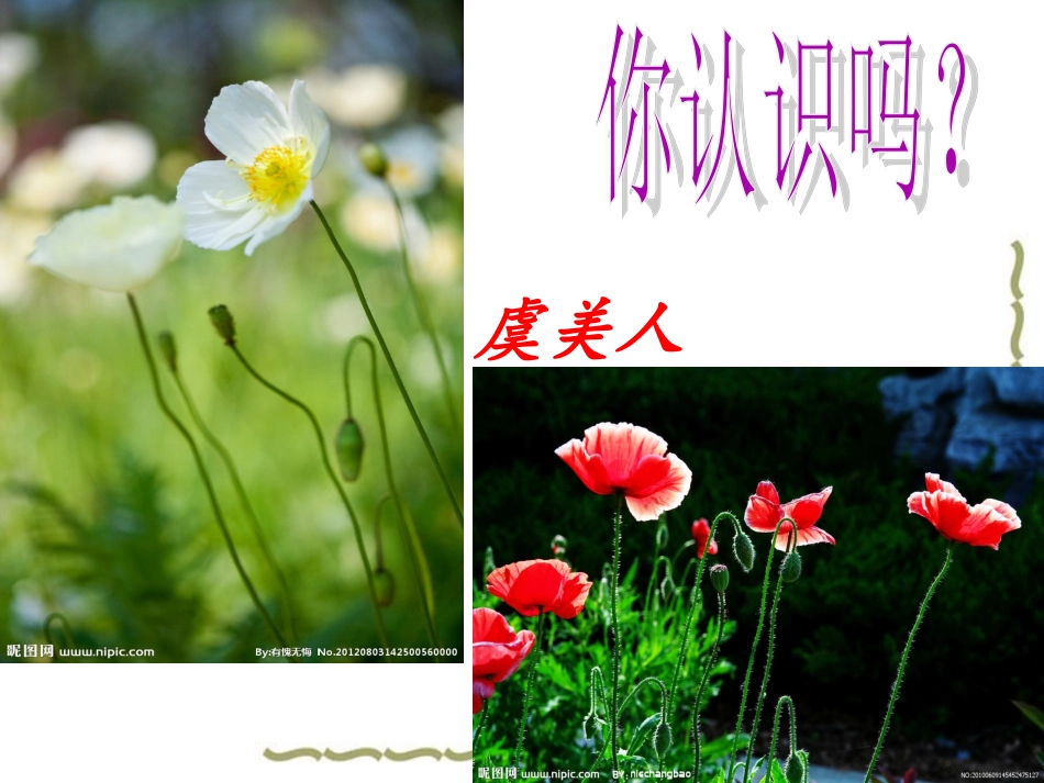 《虞美人》教学课件（42张PPT）_第3页