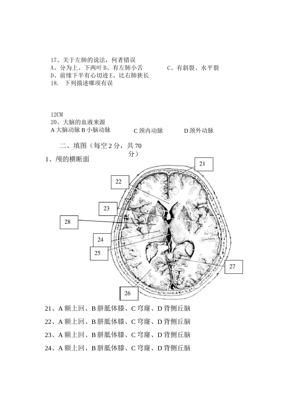 断层解剖学试卷_第2页