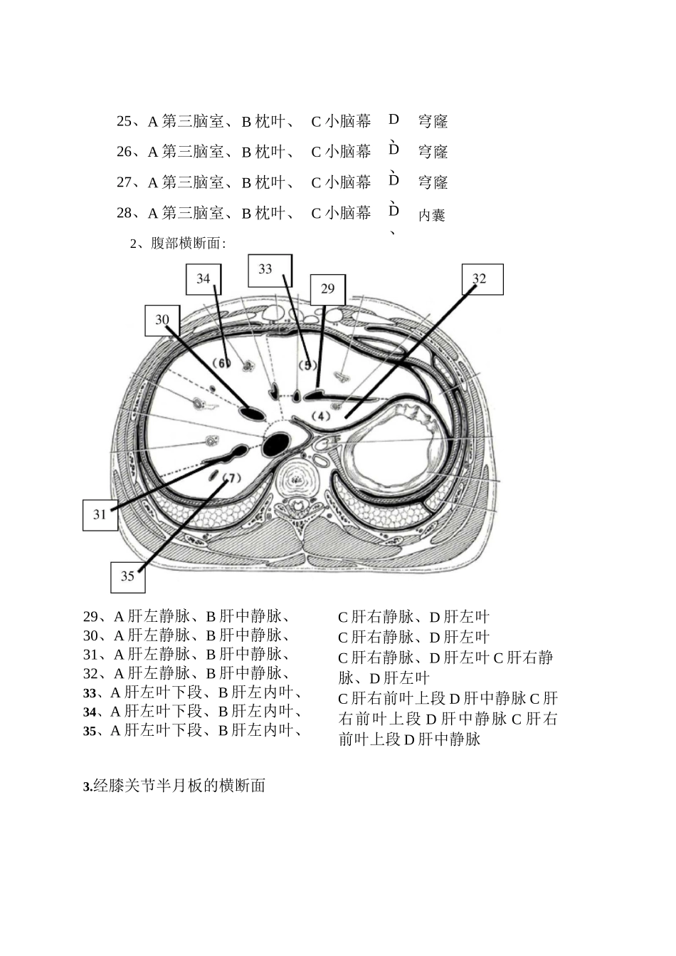 断层解剖学试卷_第3页