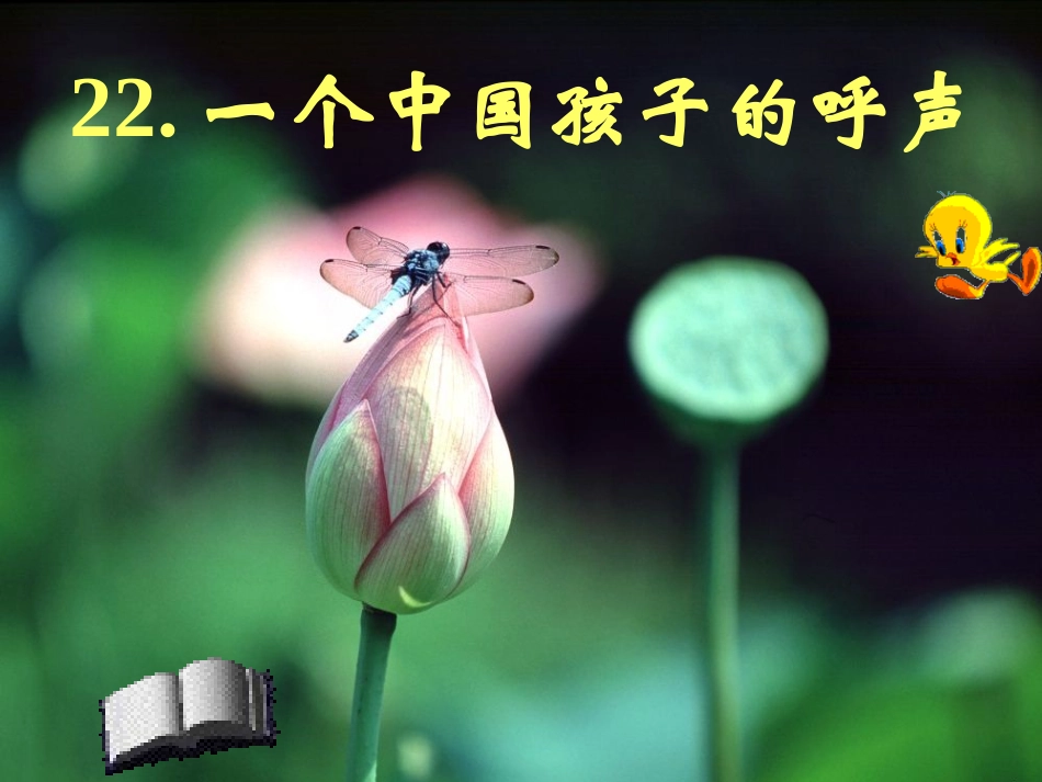 一个中国孩子的呼声 (2)_第1页