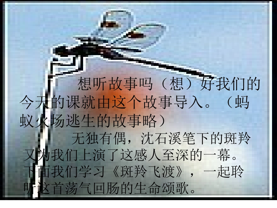 《斑羚飞渡》课件3_第1页