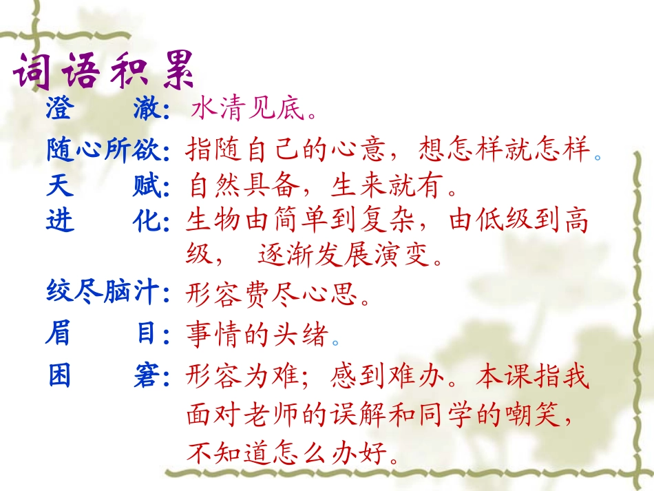 《童年的发现》PPT课件_第3页