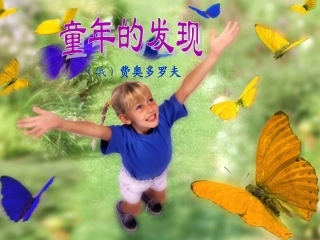 《童年的发现》PPT课件