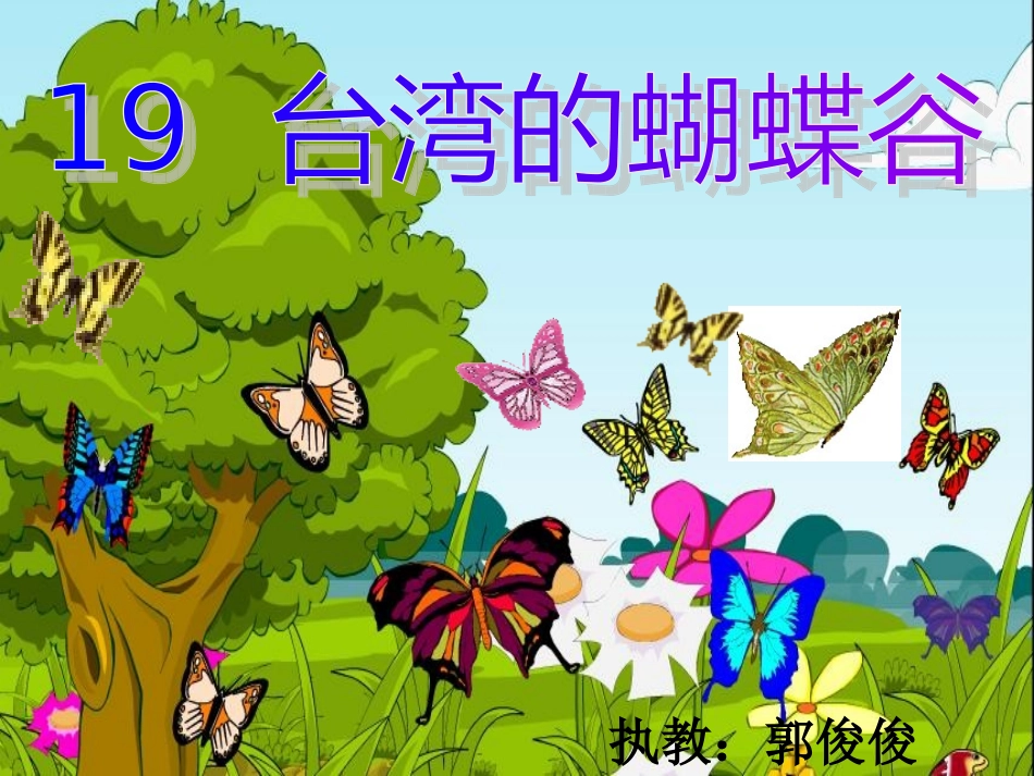 《台湾的蝴蝶谷》课件_第1页