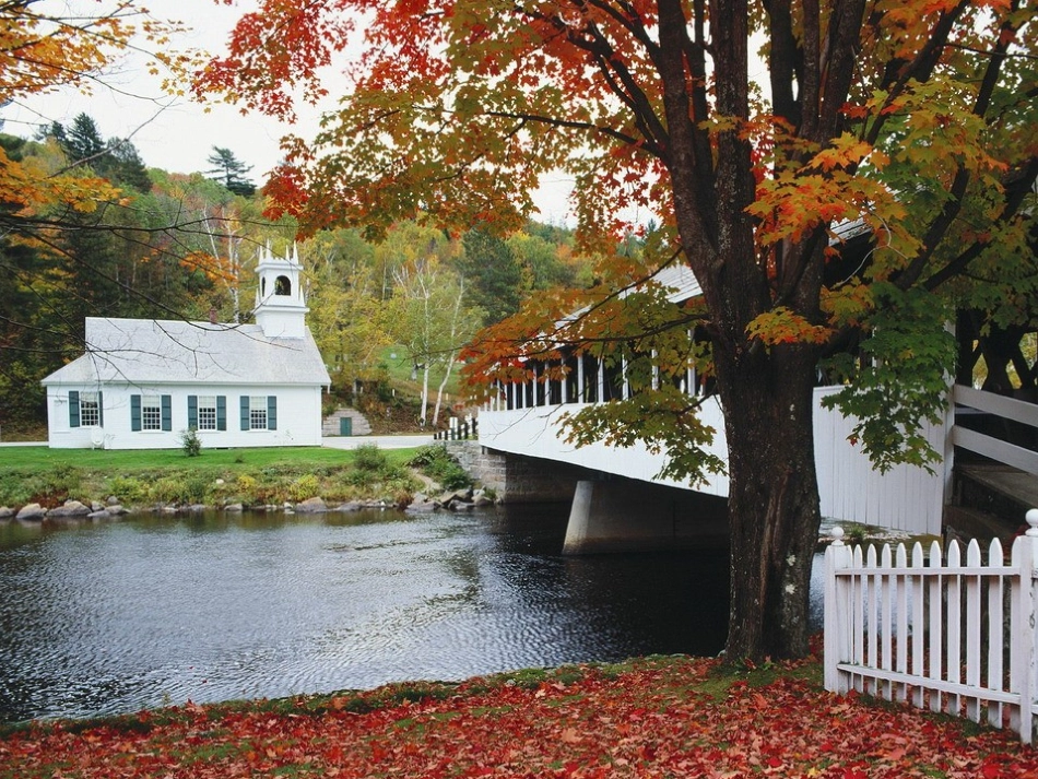 (苏教版)四年级语文上册课件_秋天_4_第3页