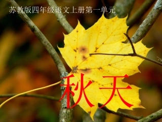 (苏教版)四年级语文上册课件_秋天_4
