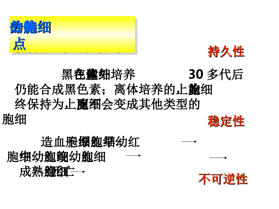 细胞的分化PPT[1]_第3页