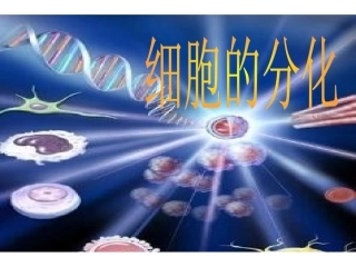 细胞的分化PPT[1]