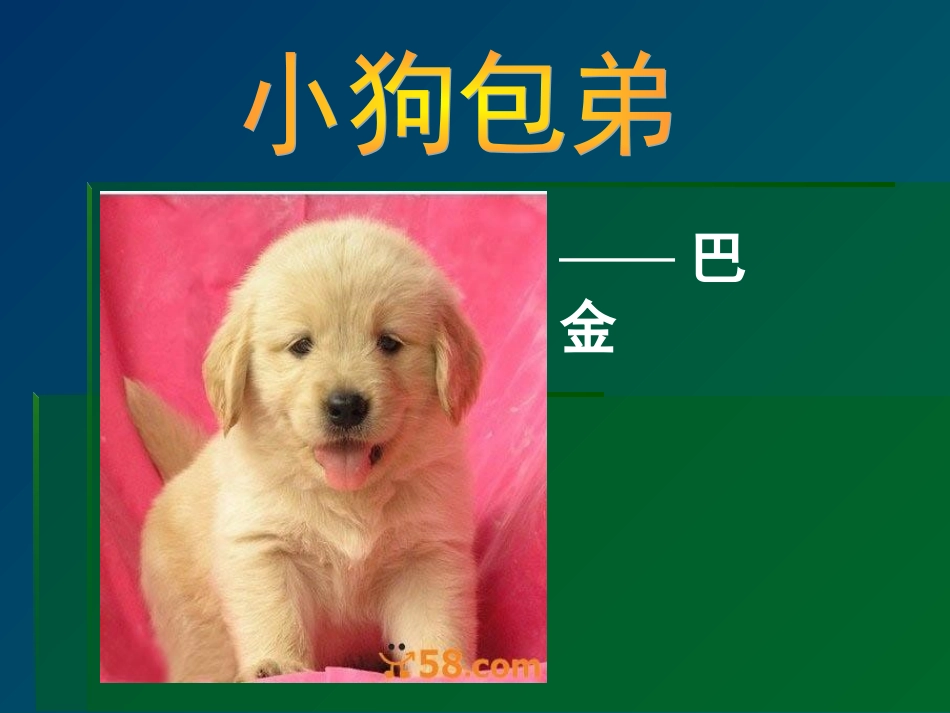 《小狗包弟》上课_第3页