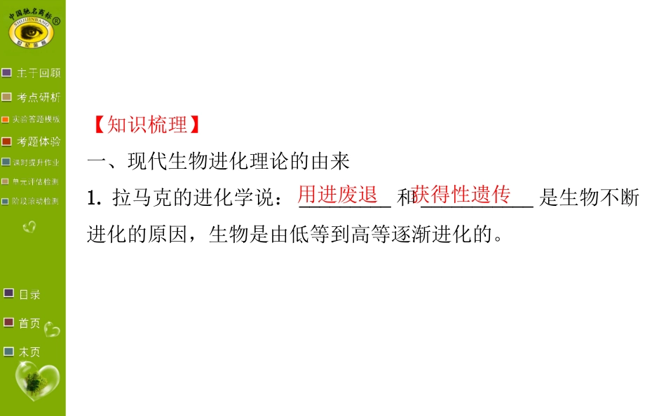 高中生物必修2第七章复习_第3页