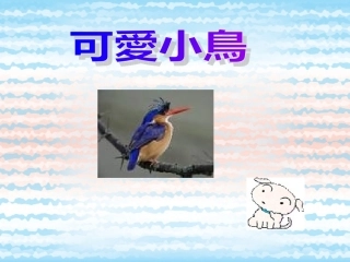 和小鸟最想亲爱 (3)